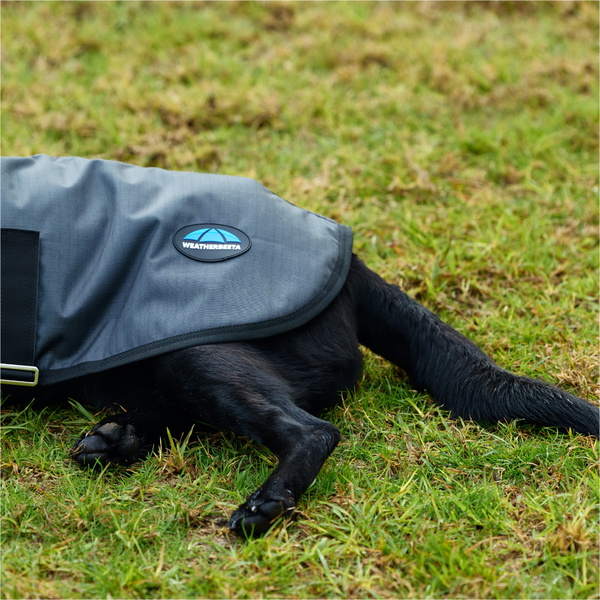 2025 Weatherbeeta Comfitec Classic Waterproof Dog Coat 1029048 - Charcoal